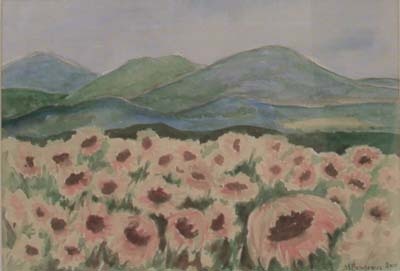 solrosor i provence