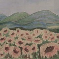 solrosor i provence